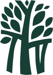 Banyan Tree